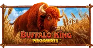 ภาพเกม Buffalo King Megaways ที่ hippo77 รวบรวมไว้